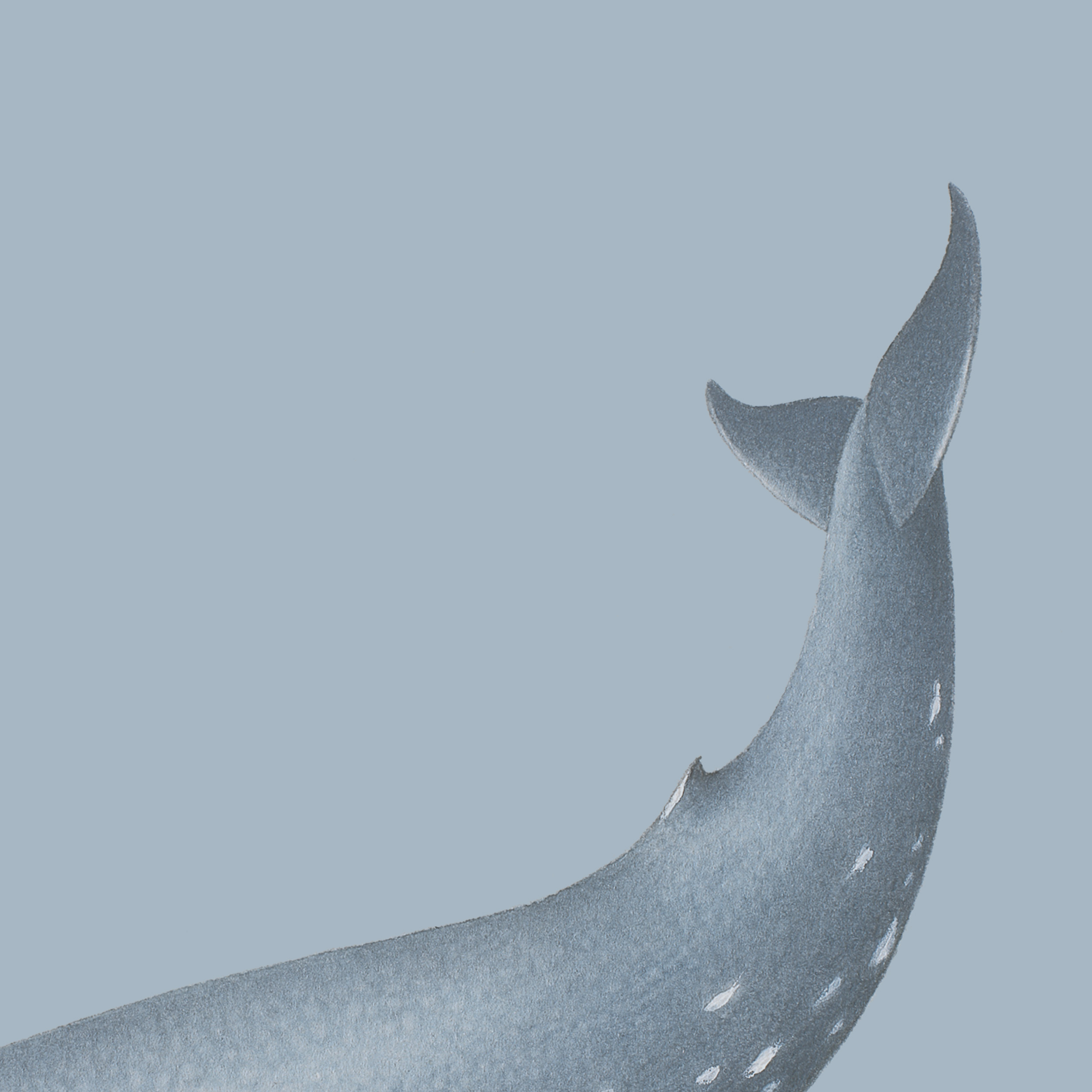 Detail Dancing Whale Cursor Nomer 18
