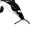 Detail Dancing Whale Cursor Nomer 20