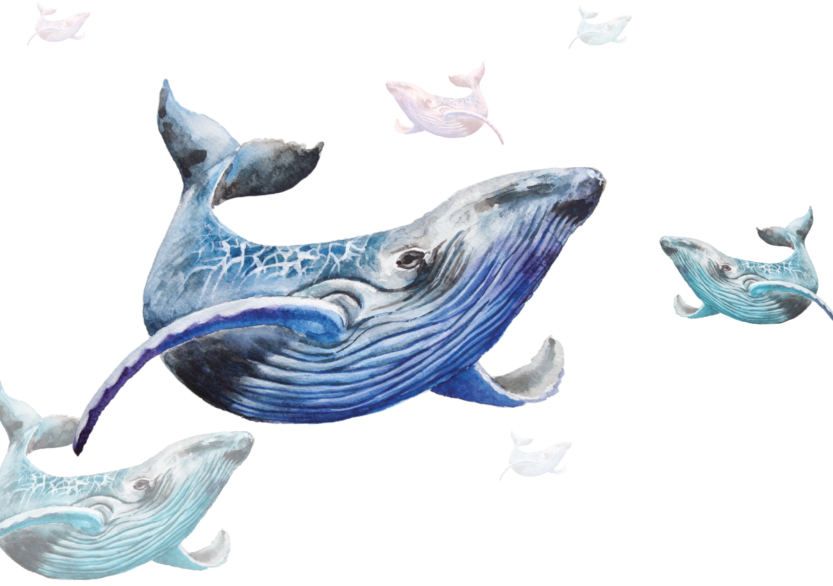 Detail Dancing Whale Cursor Nomer 30