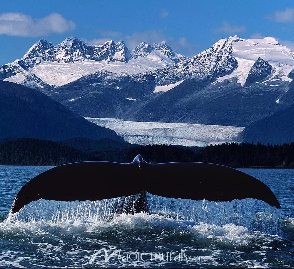 Detail Dancing Whale Cursor Nomer 33