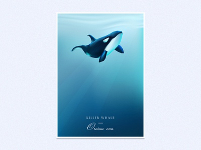 Detail Dancing Whale Cursor Nomer 45