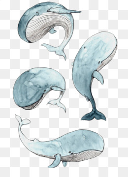 Detail Dancing Whale Cursor Nomer 46