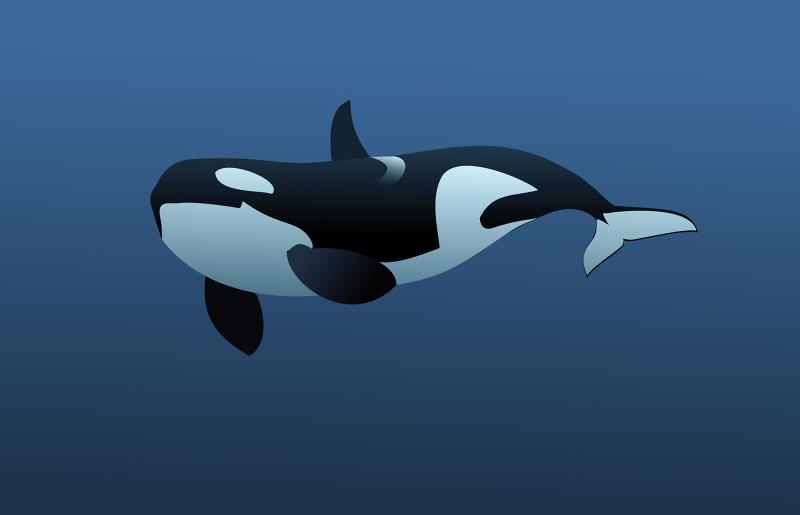 Detail Dancing Whale Cursor Nomer 8