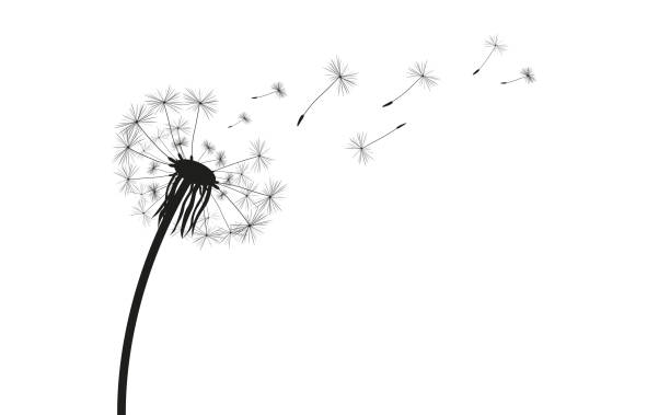 Dandelion Clip Art Free - KibrisPDR