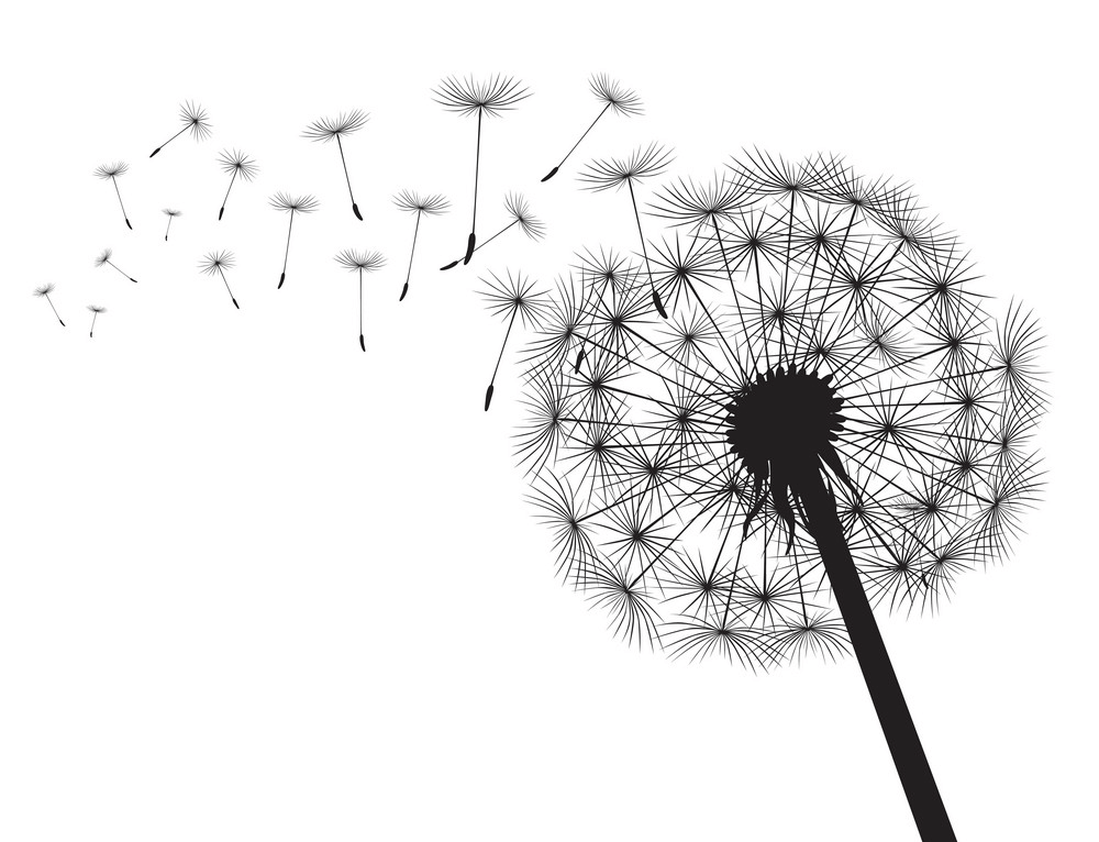 Detail Dandelion Clip Art Free Nomer 13