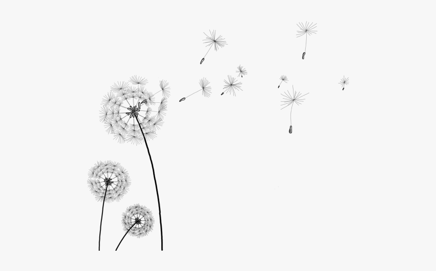 Detail Dandelion Clip Art Free Nomer 21