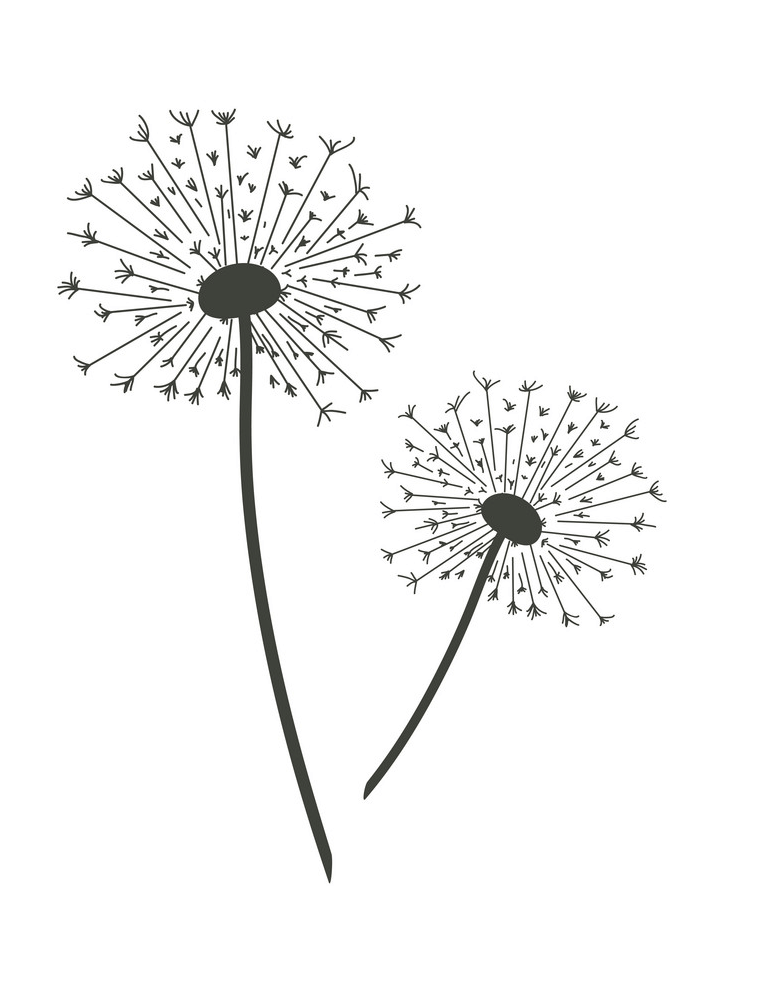 Detail Dandelion Clipart Nomer 17