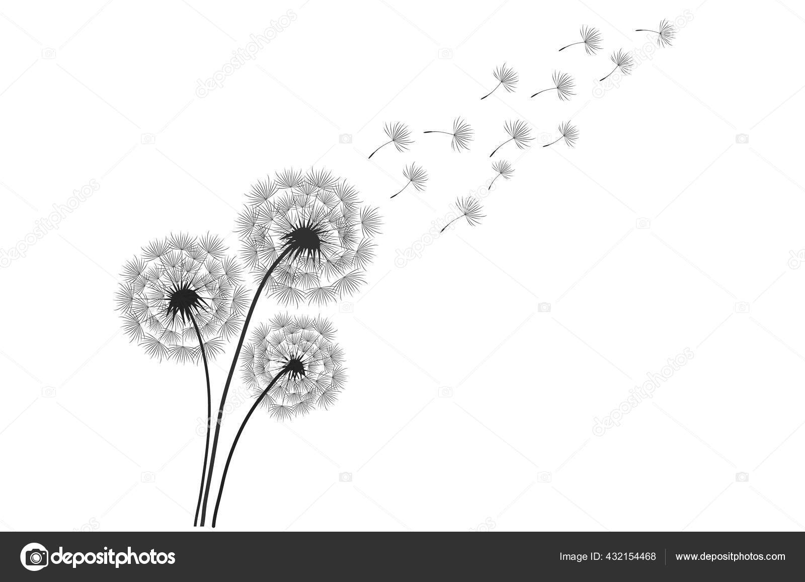 Detail Dandelion Clipart Nomer 31