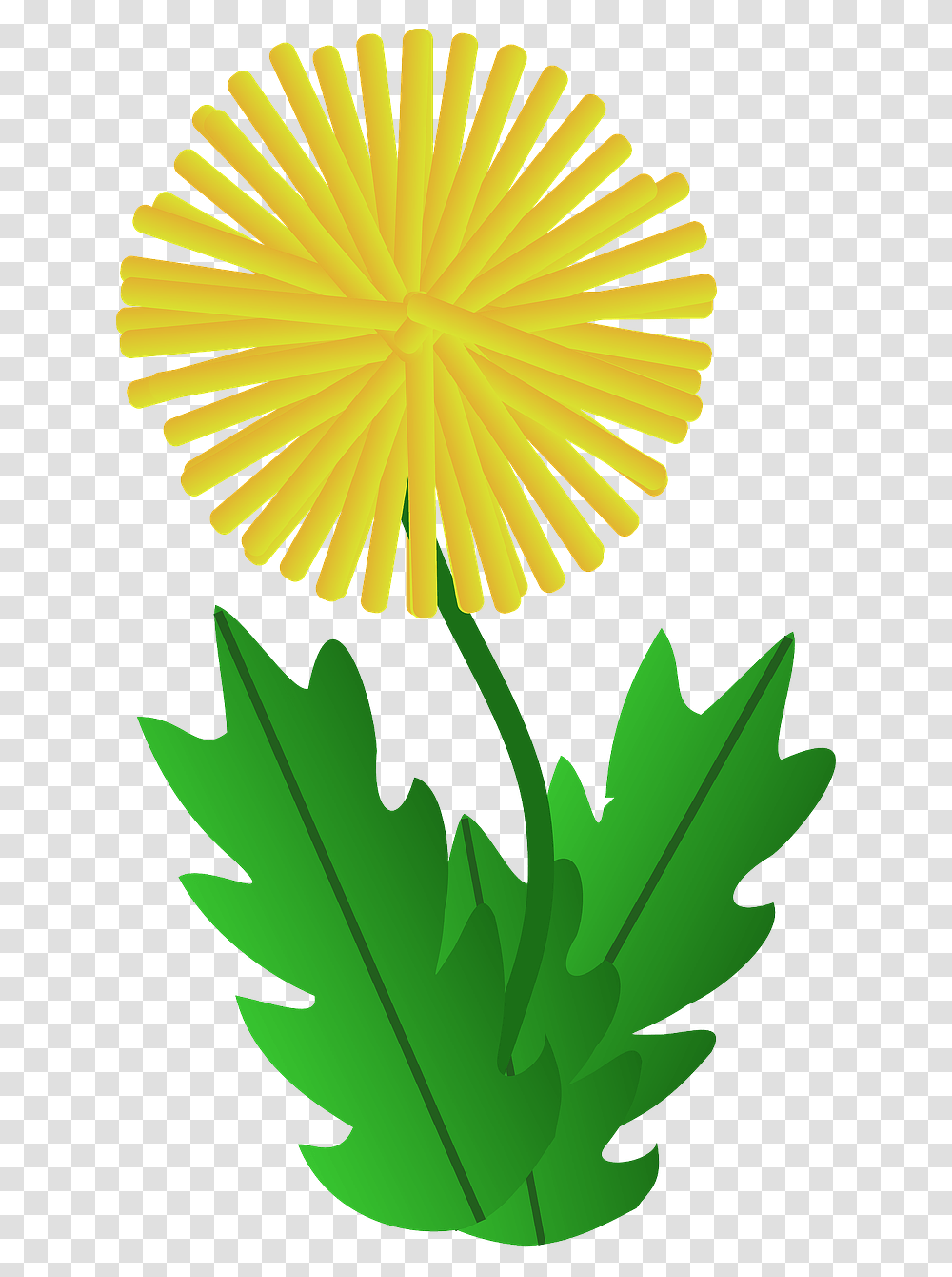 Detail Dandelion Clipart Nomer 51