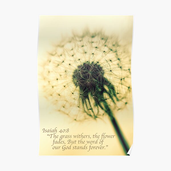 Detail Dandelion Flower Quotes Nomer 17
