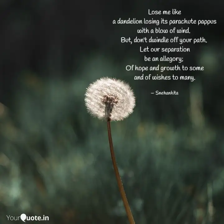 Detail Dandelion Flower Quotes Nomer 24