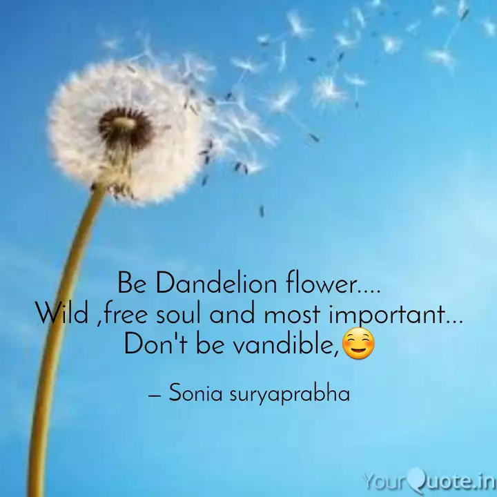 Detail Dandelion Flower Quotes Nomer 38