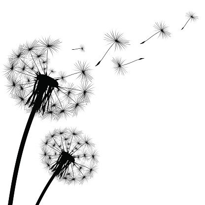 Detail Dandelion Images Clip Art Nomer 3