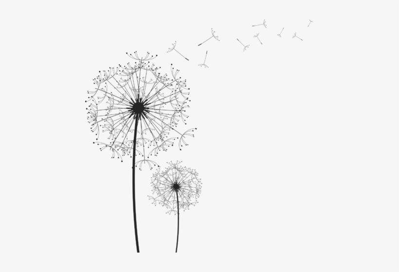 Detail Dandelion Images Clip Art Nomer 16