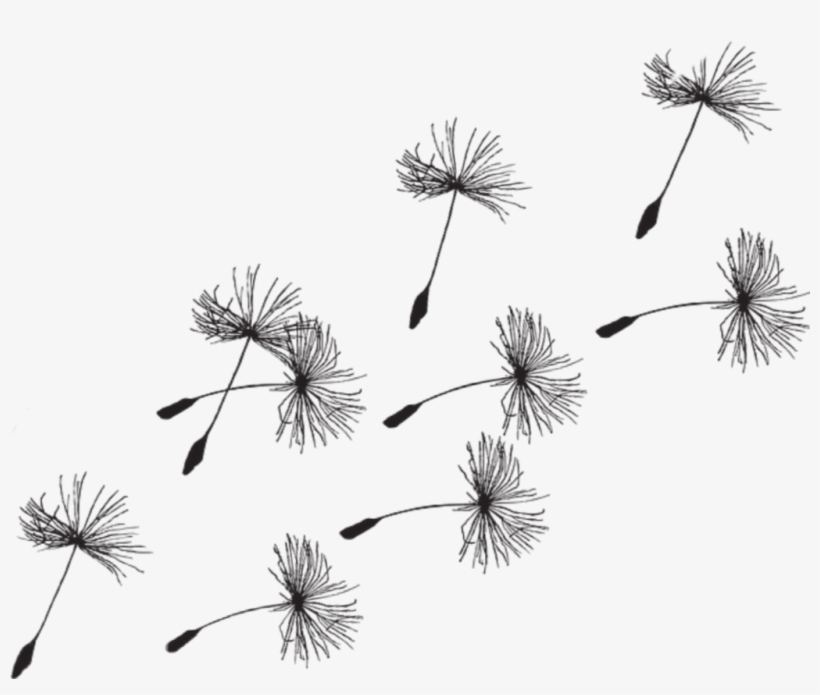 Detail Dandelion Images Clip Art Nomer 23