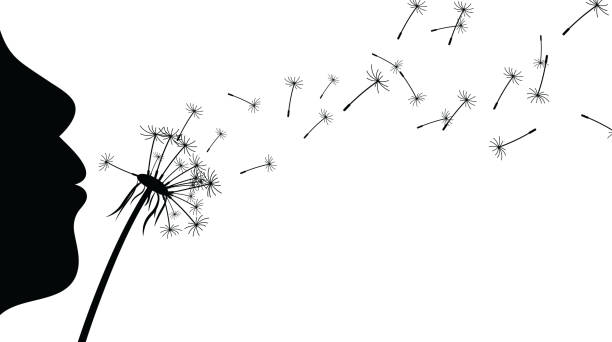 Detail Dandelion Images Clip Art Nomer 31