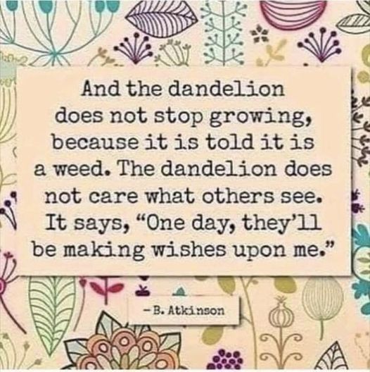 Detail Dandelion Meaning Quotes Nomer 36