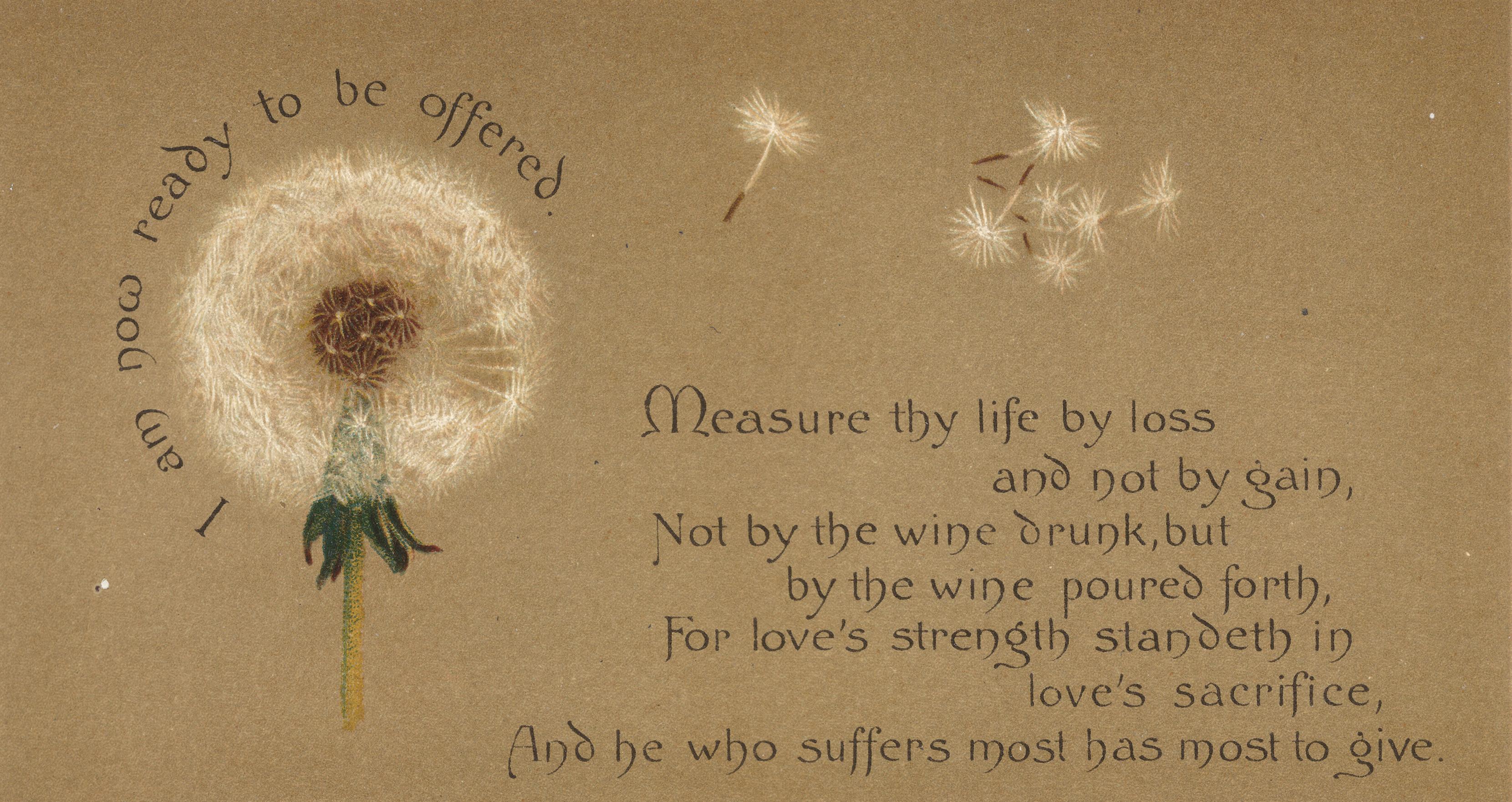 Detail Dandelion Meaning Quotes Nomer 8