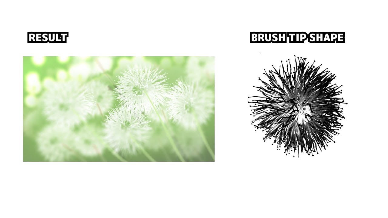 Detail Dandelion Photoshop Brush Nomer 11