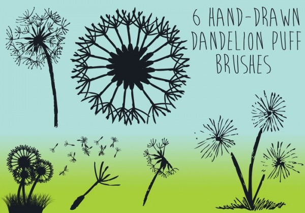 Detail Dandelion Photoshop Brush Nomer 18