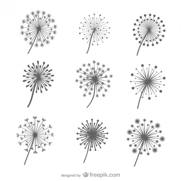 Detail Dandelion Photoshop Brush Nomer 35