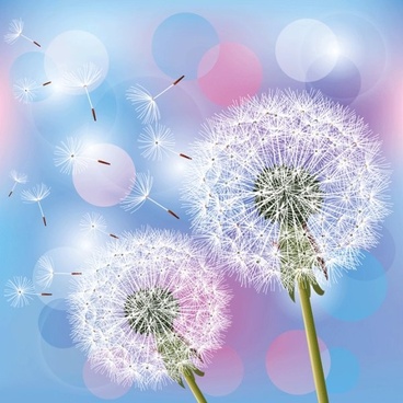 Detail Dandelion Pictures Free Nomer 16