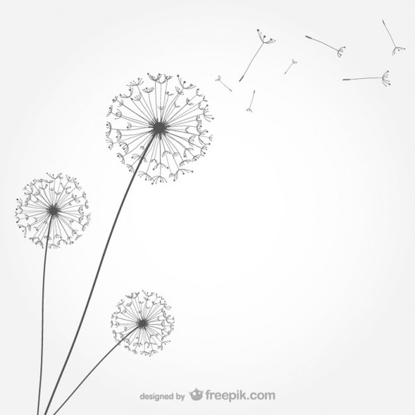 Detail Dandelion Pictures Free Nomer 41