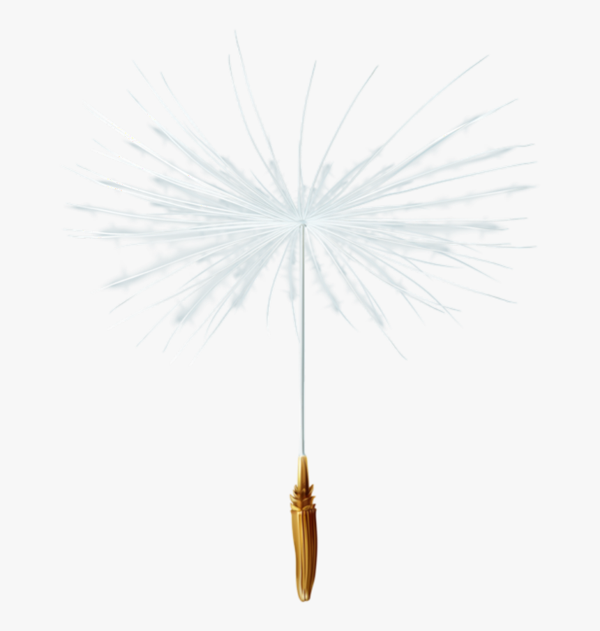 Detail Dandelion Seed Png Nomer 11