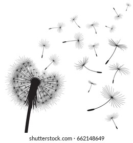 Detail Dandelion Silhouette Vector Free Nomer 11