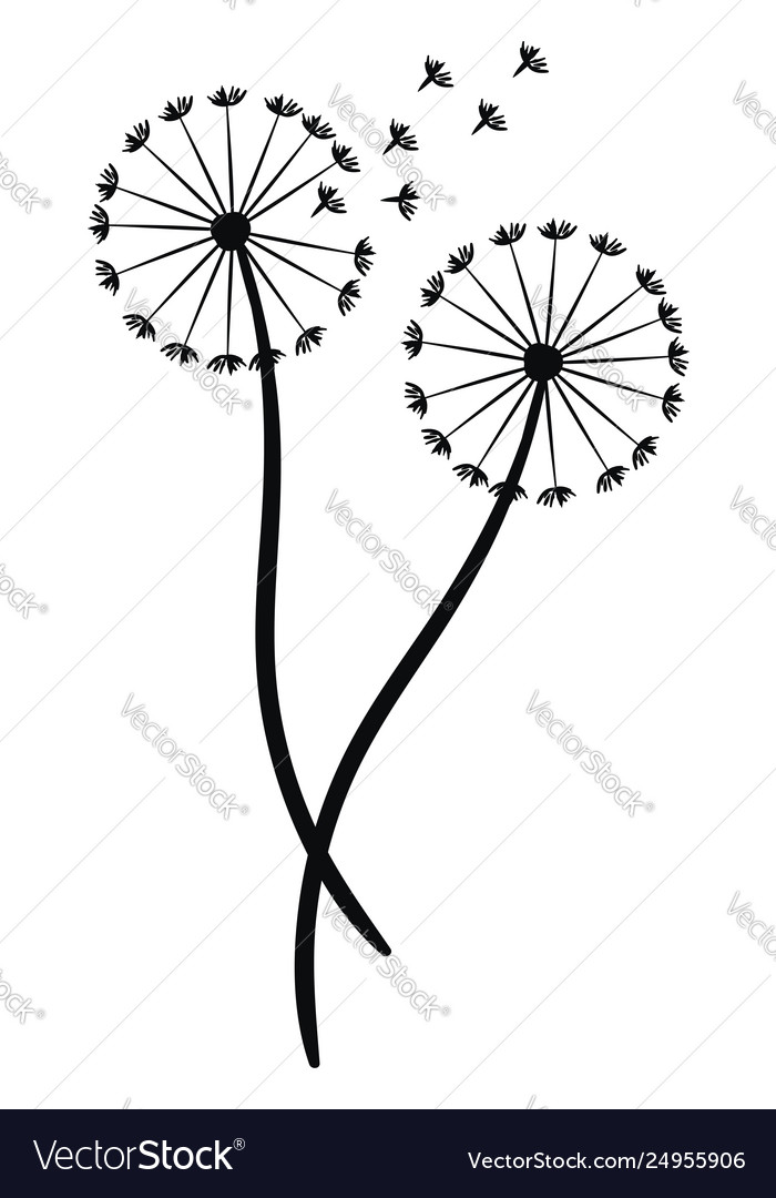 Detail Dandelion Silhouette Vector Free Nomer 15