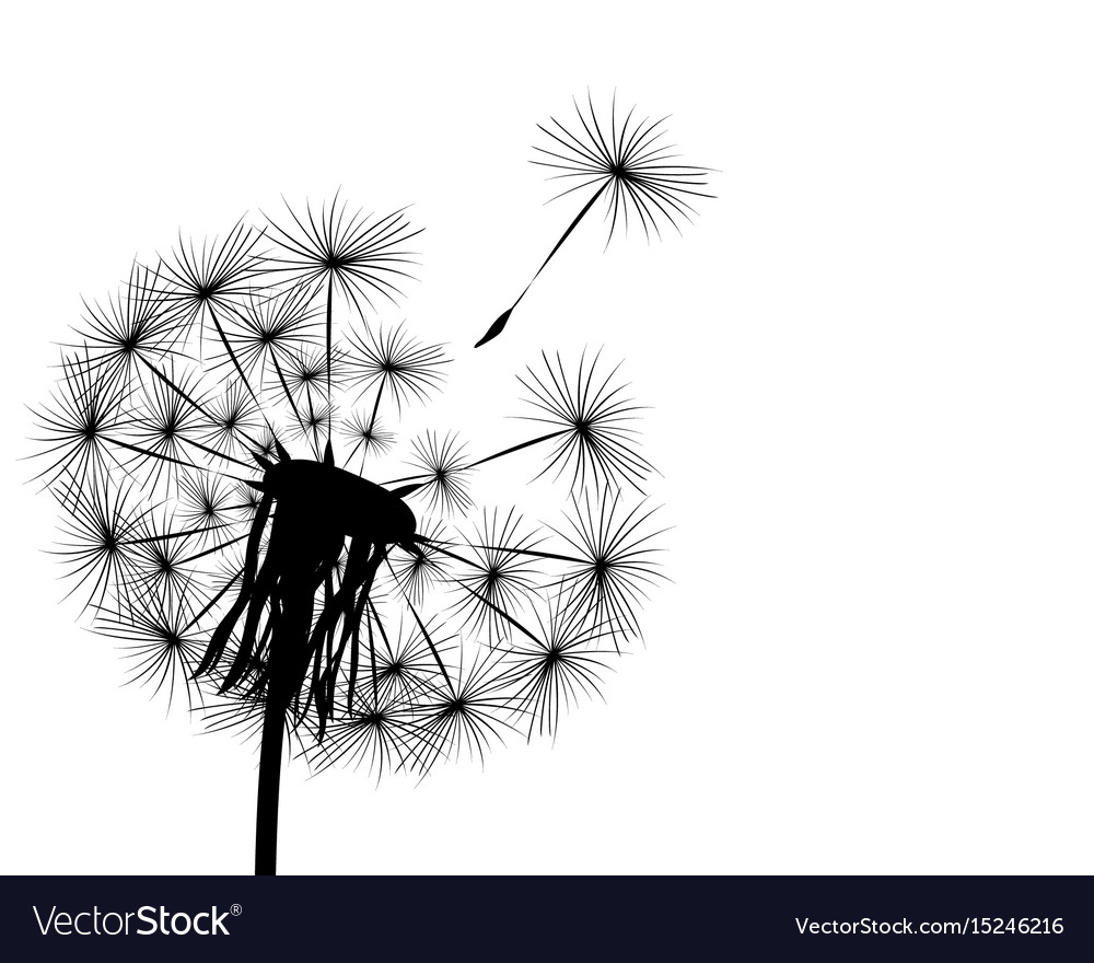 Detail Dandelion Silhouette Vector Free Nomer 3