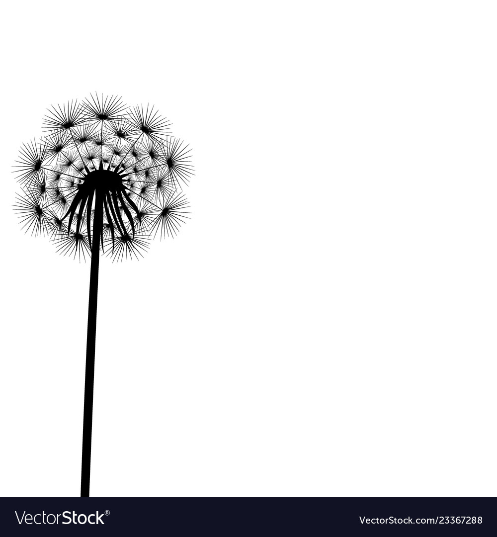 Detail Dandelion Silhouette Vector Free Nomer 39