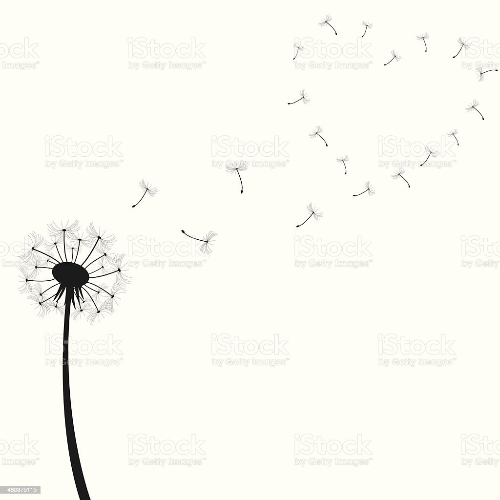 Detail Dandelion Silhouette Vector Free Nomer 40