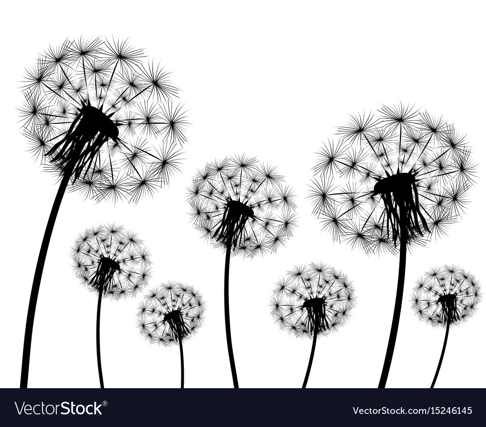 Detail Dandelion Silhouette Vector Free Nomer 52