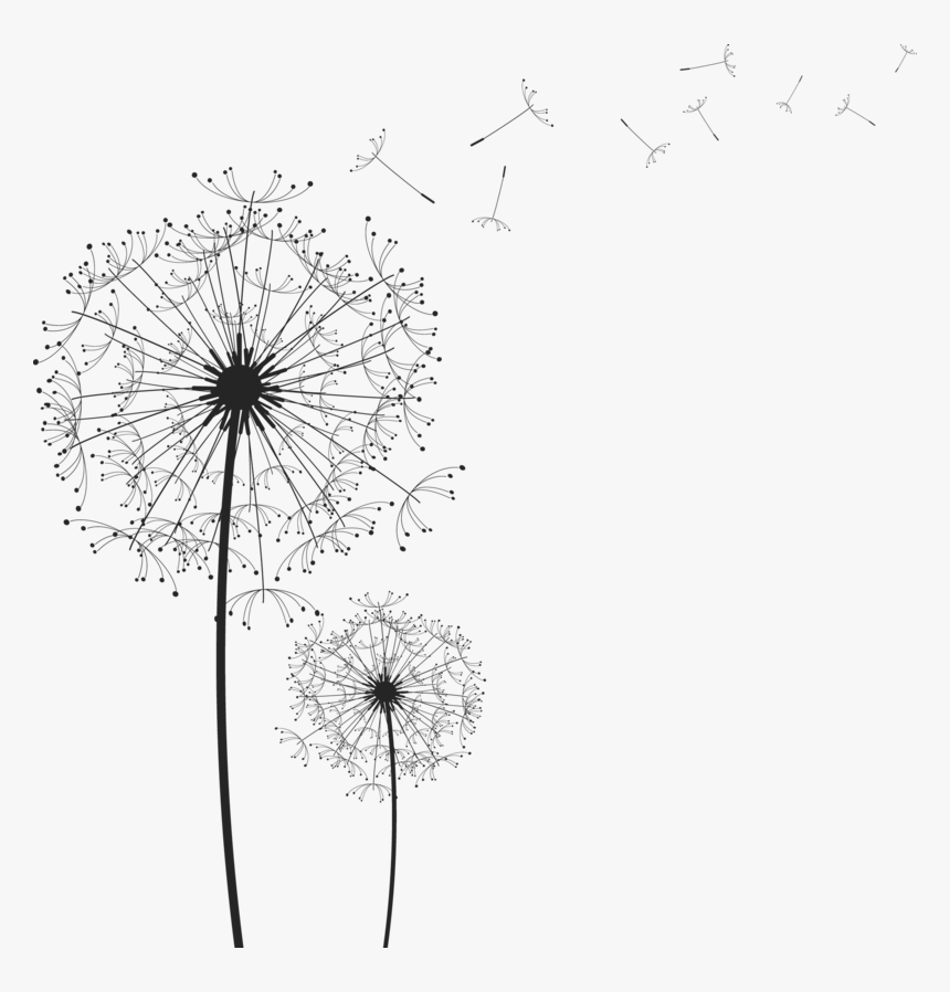 Dandelion Transparent - KibrisPDR