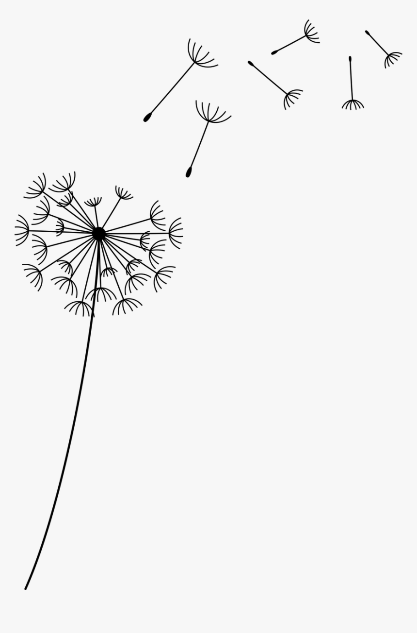 Detail Dandelion Transparent Nomer 19