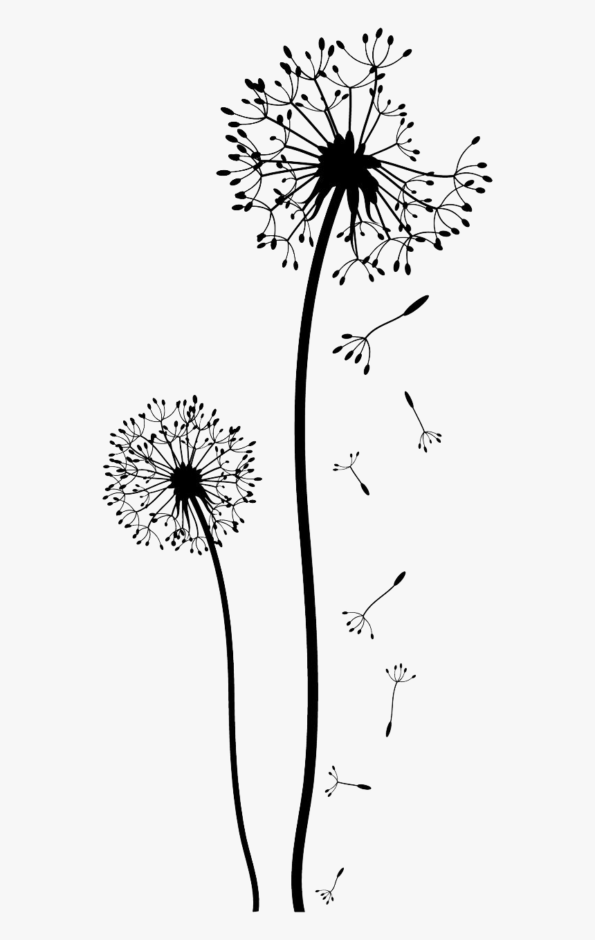 Detail Dandelion Transparent Nomer 5