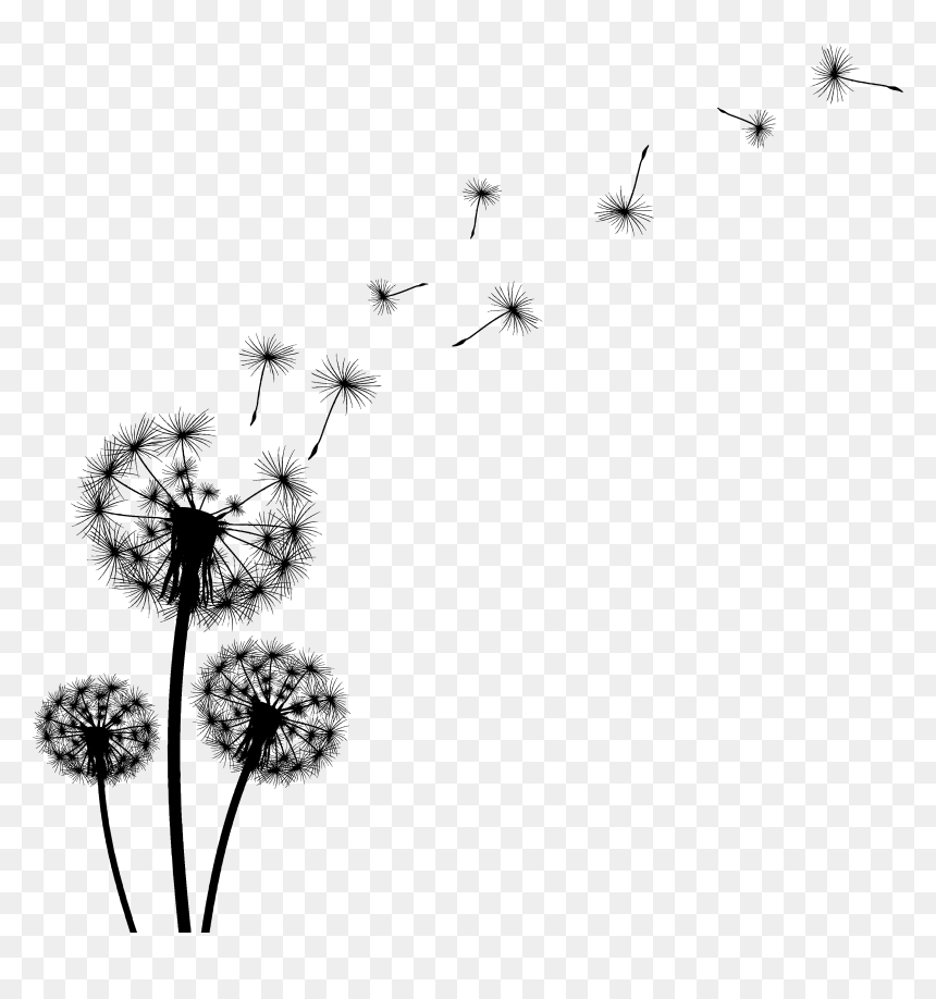 Detail Dandelion Transparent Nomer 43