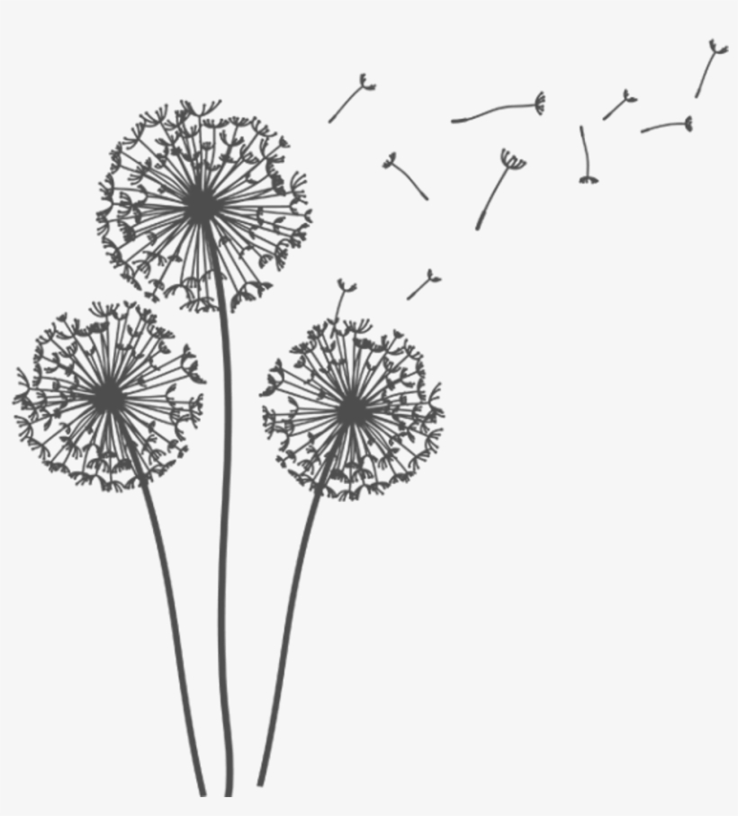 Detail Dandelion Transparent Nomer 7