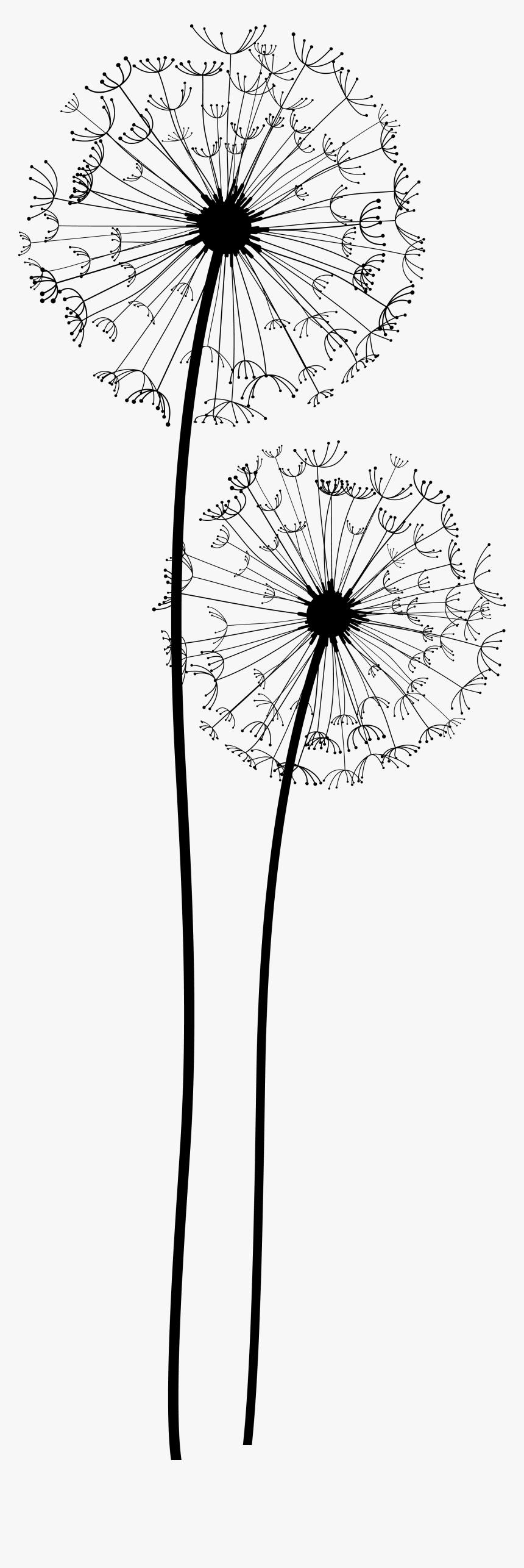 Detail Dandelion Transparent Nomer 9