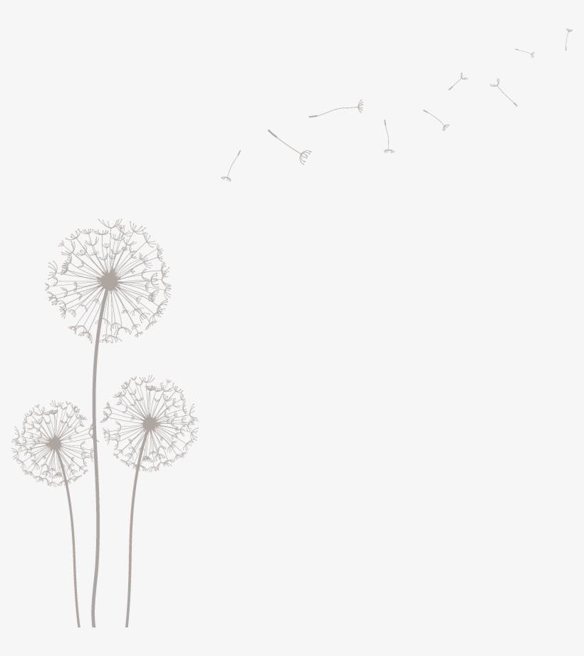 Detail Dandelion Transparent Background Nomer 14