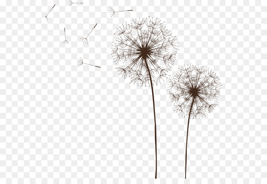 Detail Dandelion Transparent Background Nomer 27