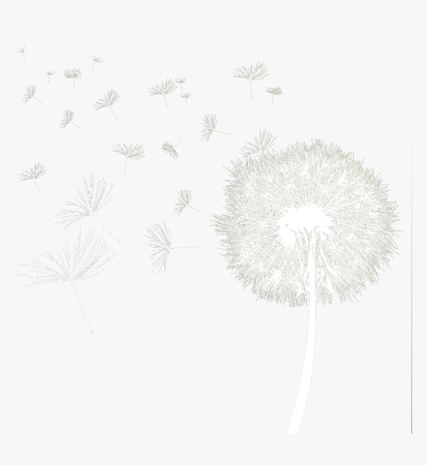 Detail Dandelion Transparent Background Nomer 43