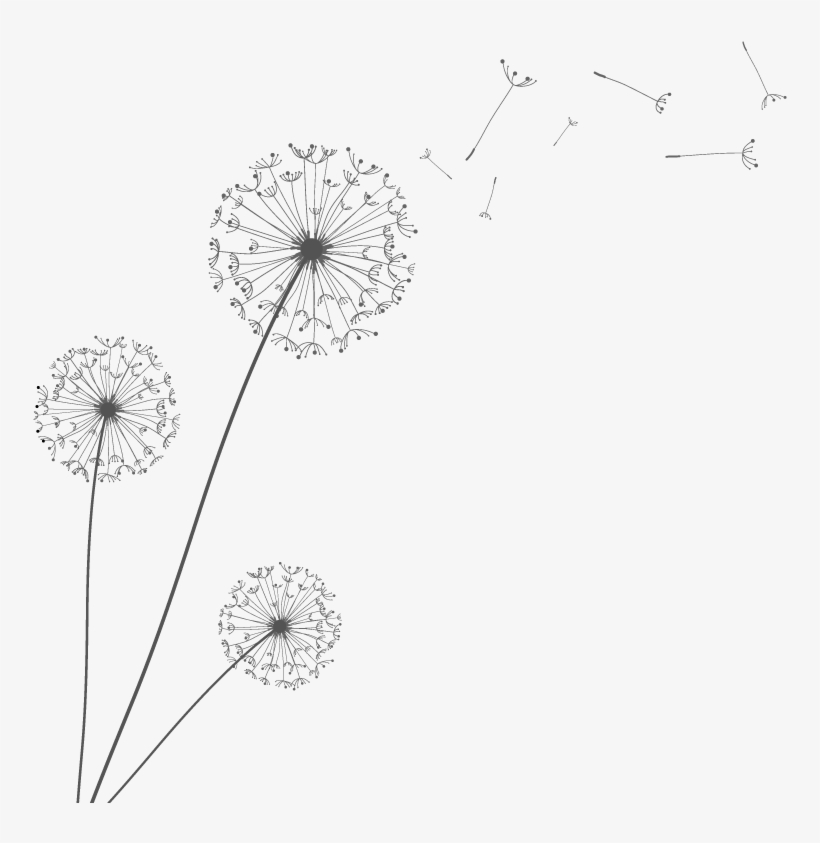 Detail Dandelion Transparent Background Nomer 50