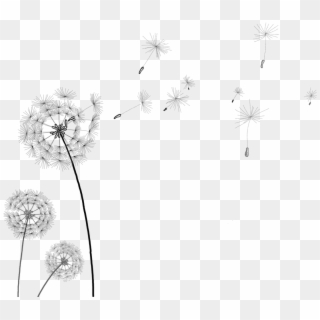 Detail Dandelion Transparent Background Nomer 58