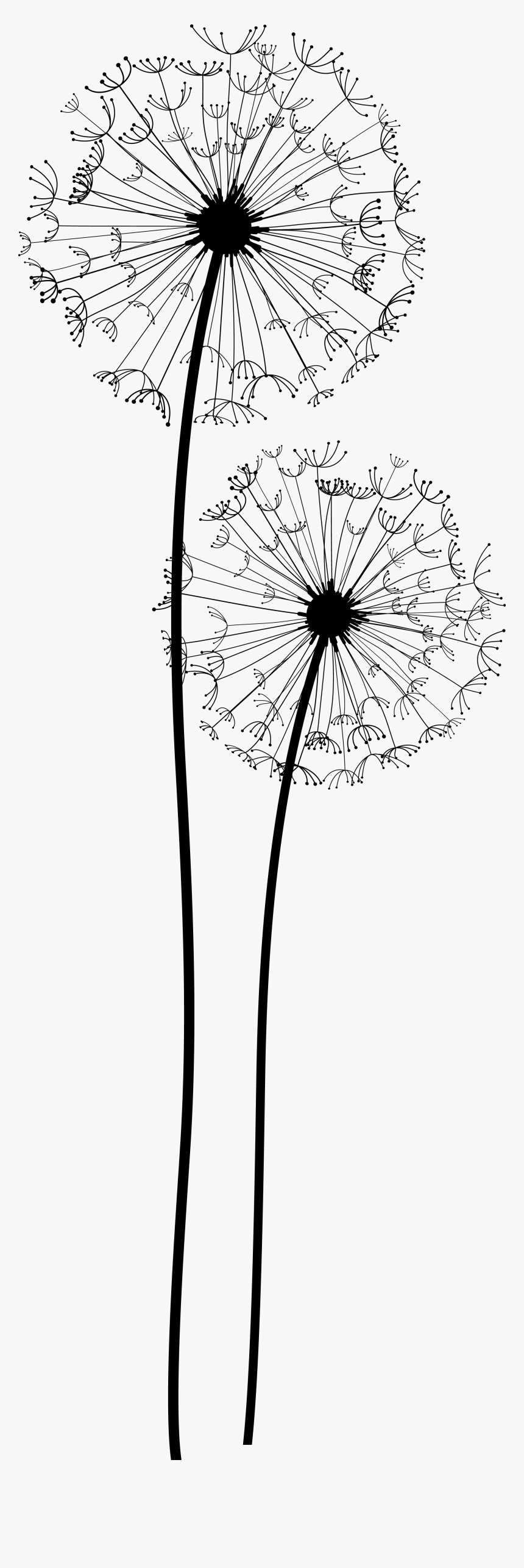 Detail Dandelion Transparent Background Nomer 8