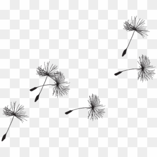 Detail Dandelion Vector Free Nomer 34