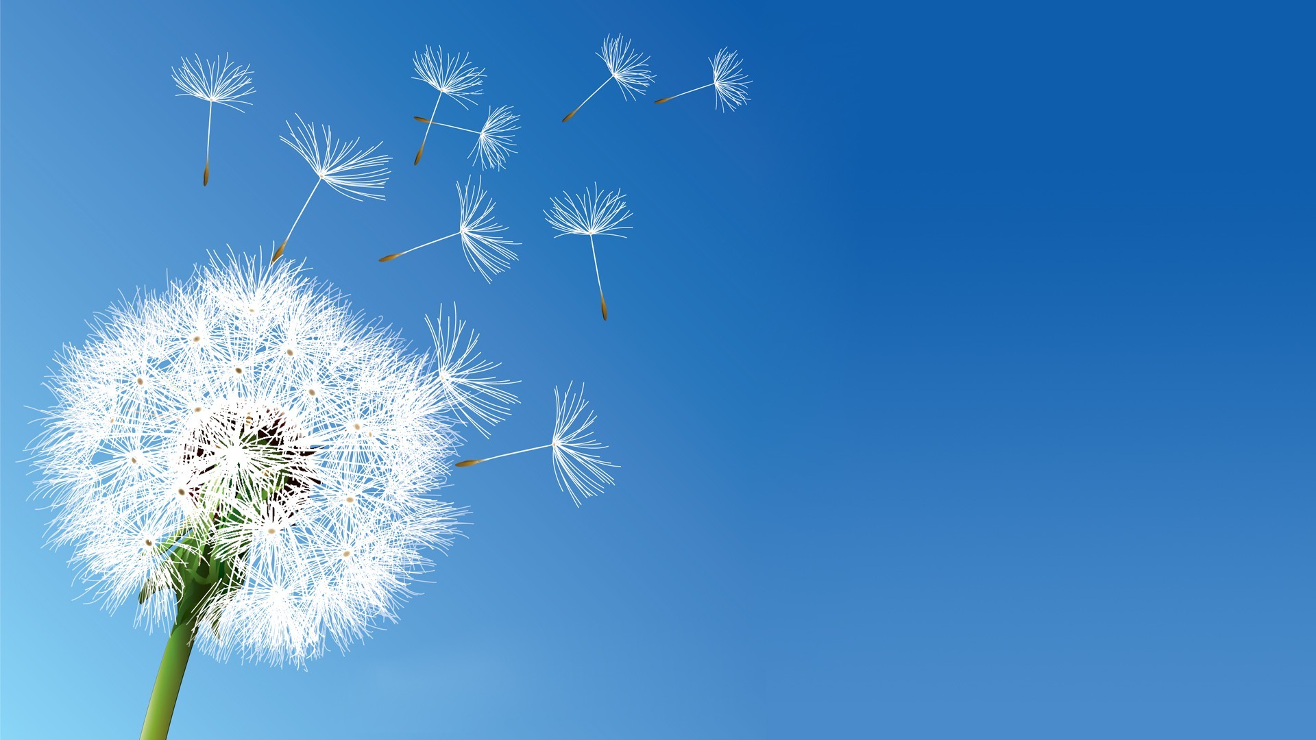 Detail Dandelion Wallpaper Hd Nomer 25