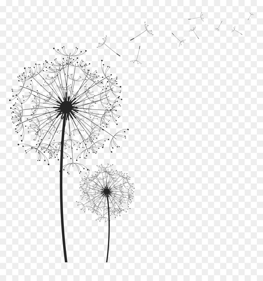 Detail Dandelions Png Nomer 21