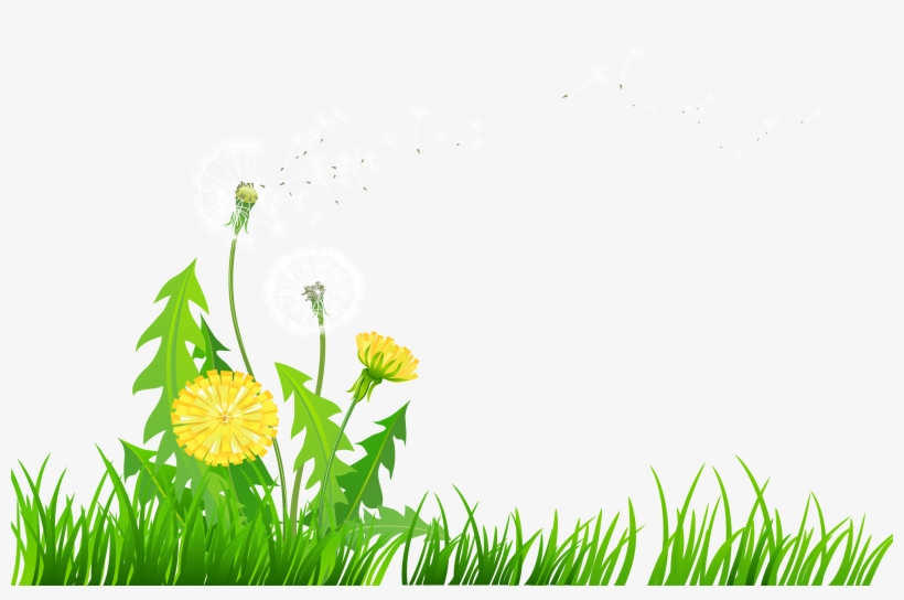 Detail Dandilion Clipart Nomer 35